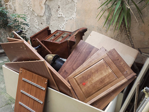Yard Cleanup Services in Harlem, GA